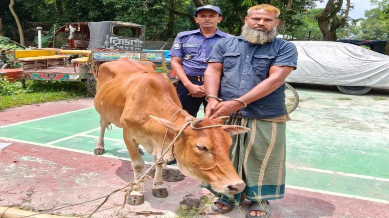 নওগাঁয় চোরাই গরুসহ গরুচোর বেলাল গ্রেপ্তার