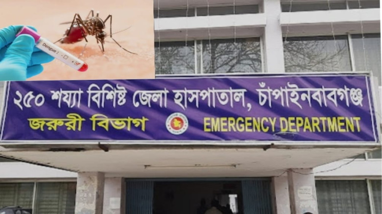 চাঁপাইনবাবগঞ্জে ২৪ ঘণ্টায় নতুন ৩৬ ডেঙ্গু রোগী, হাসপাতালে ভর্